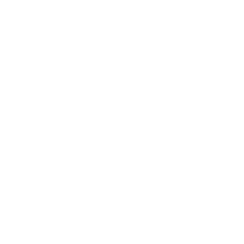 Logo principal blanc