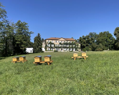 image00007 image00007